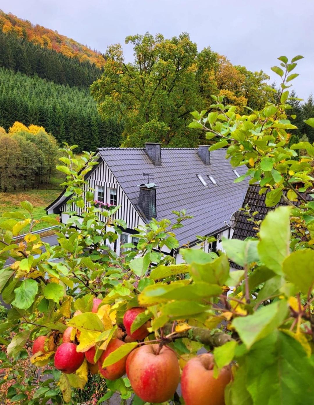 Ferienwohnung Kraehling Schmallenberg Exterior foto