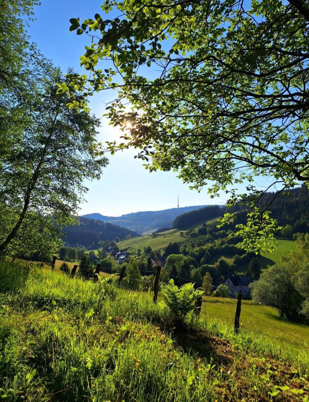 Ferienwohnung Kraehling Schmallenberg Exterior foto